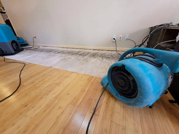 Professional Flood Damage Cleanup technician working in New Deal, TX